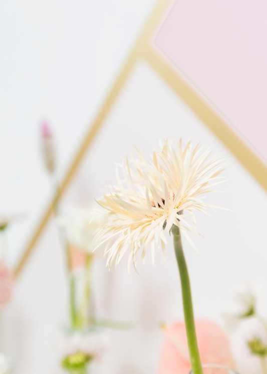 芬琳丝柔漆怎样？揭开芬琳丝柔漆的真面目