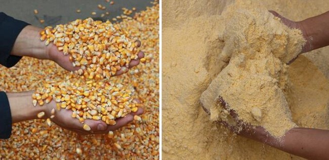 15方架家用小型粉碎机粉碎物料效果