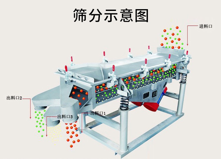分享振动筛维护保养技巧！